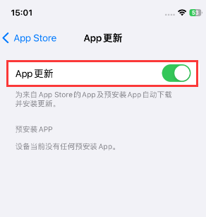 阜康苹果15维修中心如何让iPhone15APP自动更新